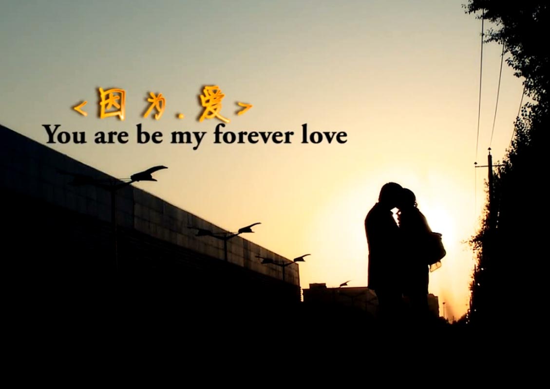 &#21326;&#20307;&#20250;&#20307;&#32946;&#40;&#20013;&#22269;&#41;