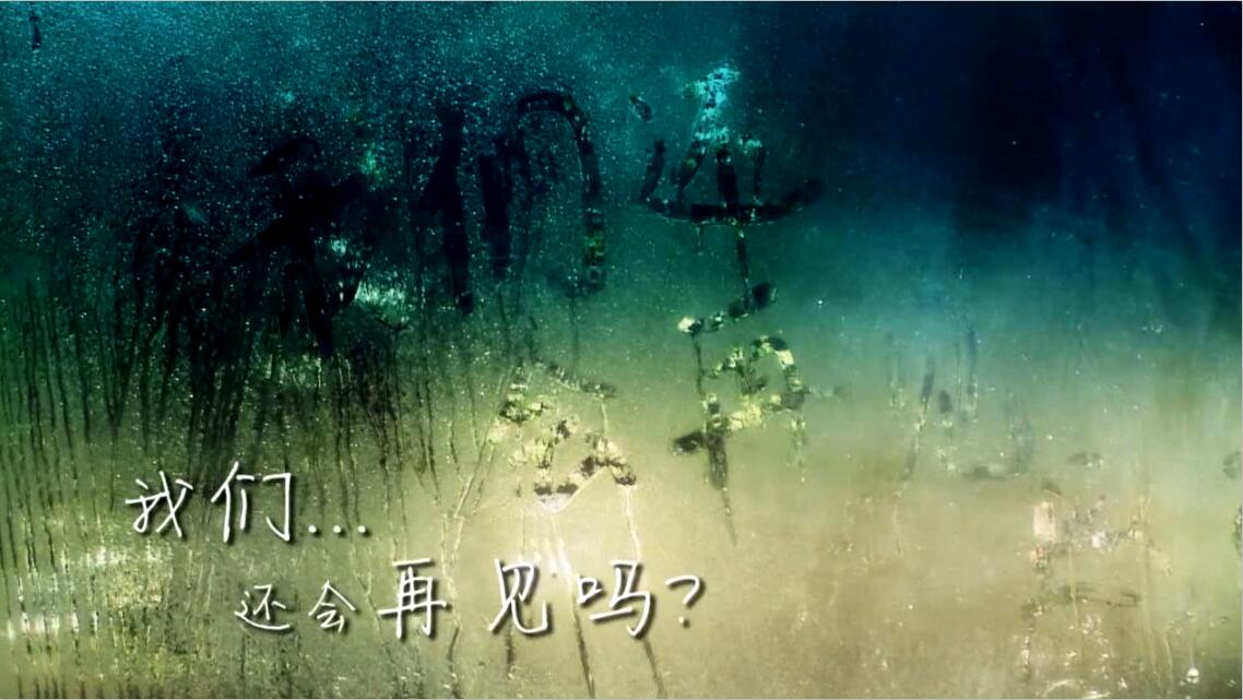 &#21326;&#20307;&#20250;&#20307;&#32946;&#40;&#20013;&#22269;&#41;