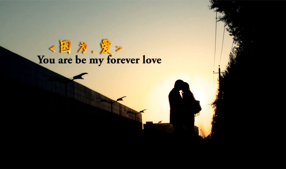 &#21326;&#20307;&#20250;&#20307;&#32946;&#40;&#20013;&#22269;&#41;